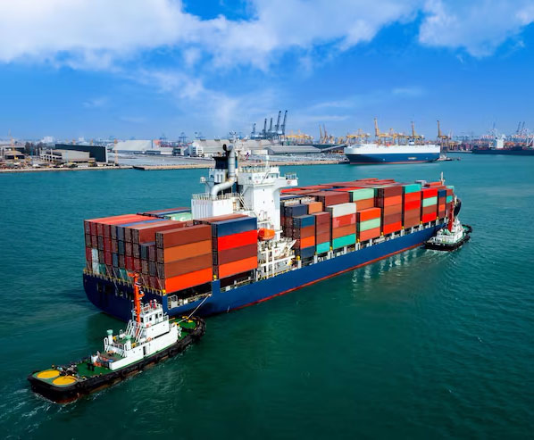 cargo shipexport business
